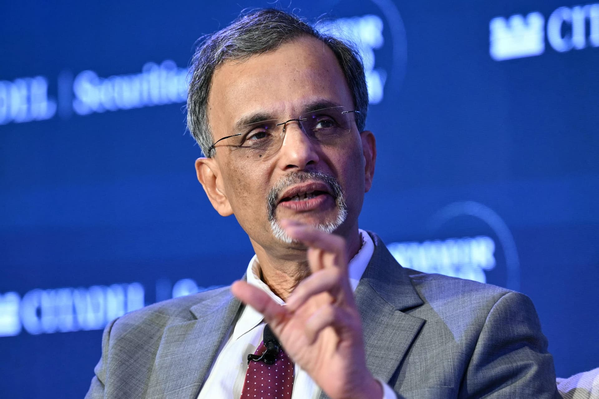 Absence of AI in equities will become India's strength in a year: CEA