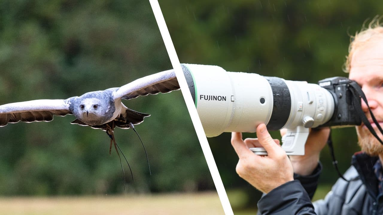  I photographed birds of prey in flight with Fujifilm's new 400mm f/4.5 super telephoto prime lens — and it proved the X series is no wildlife slouch compared to Sony and Canon 