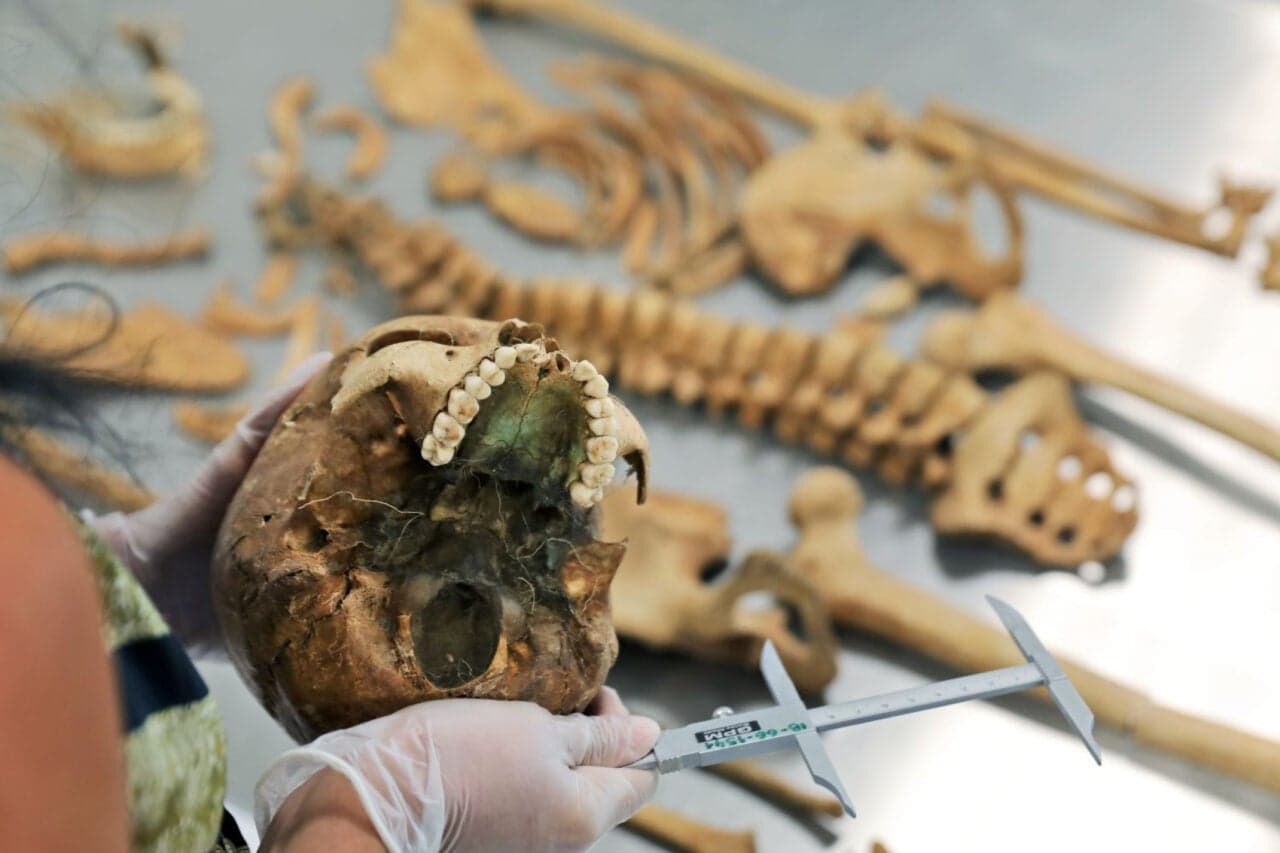 Meet Zosia, the 17th-Century Vampire Suspect Buried With a Sickle at Her Throat