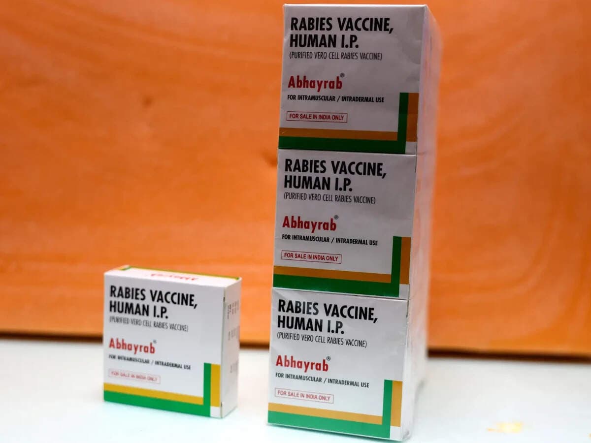 Govt flags Abhayrab rabies vaccine batch as substandard, probes if spurious, document shows 