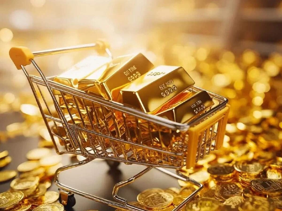 Gold paused not peaked, record run could be ahead: Goldman Sachs 