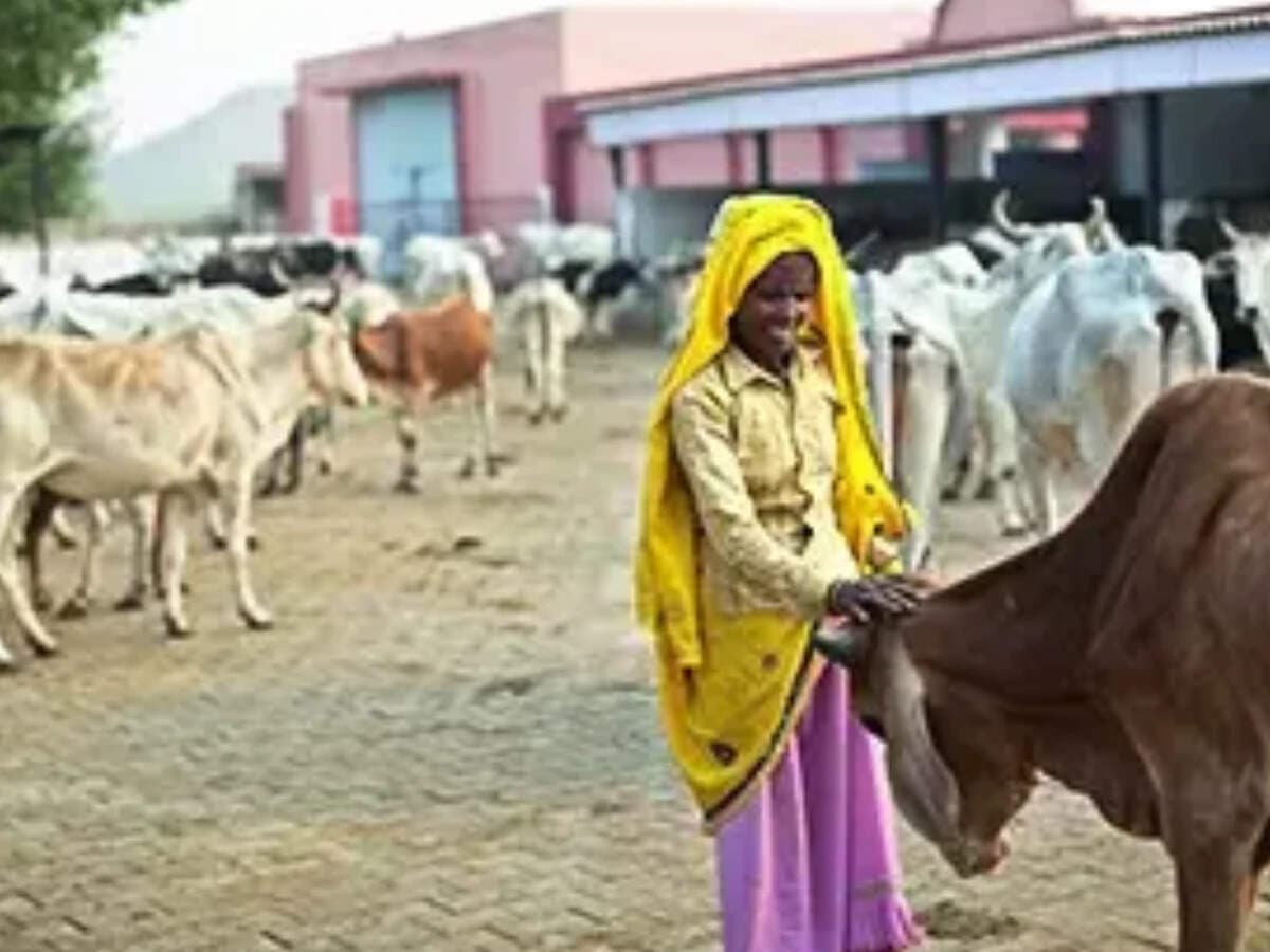 Govt rolls out GOBARdhan rules with assured CBG offtake, 10-year price support