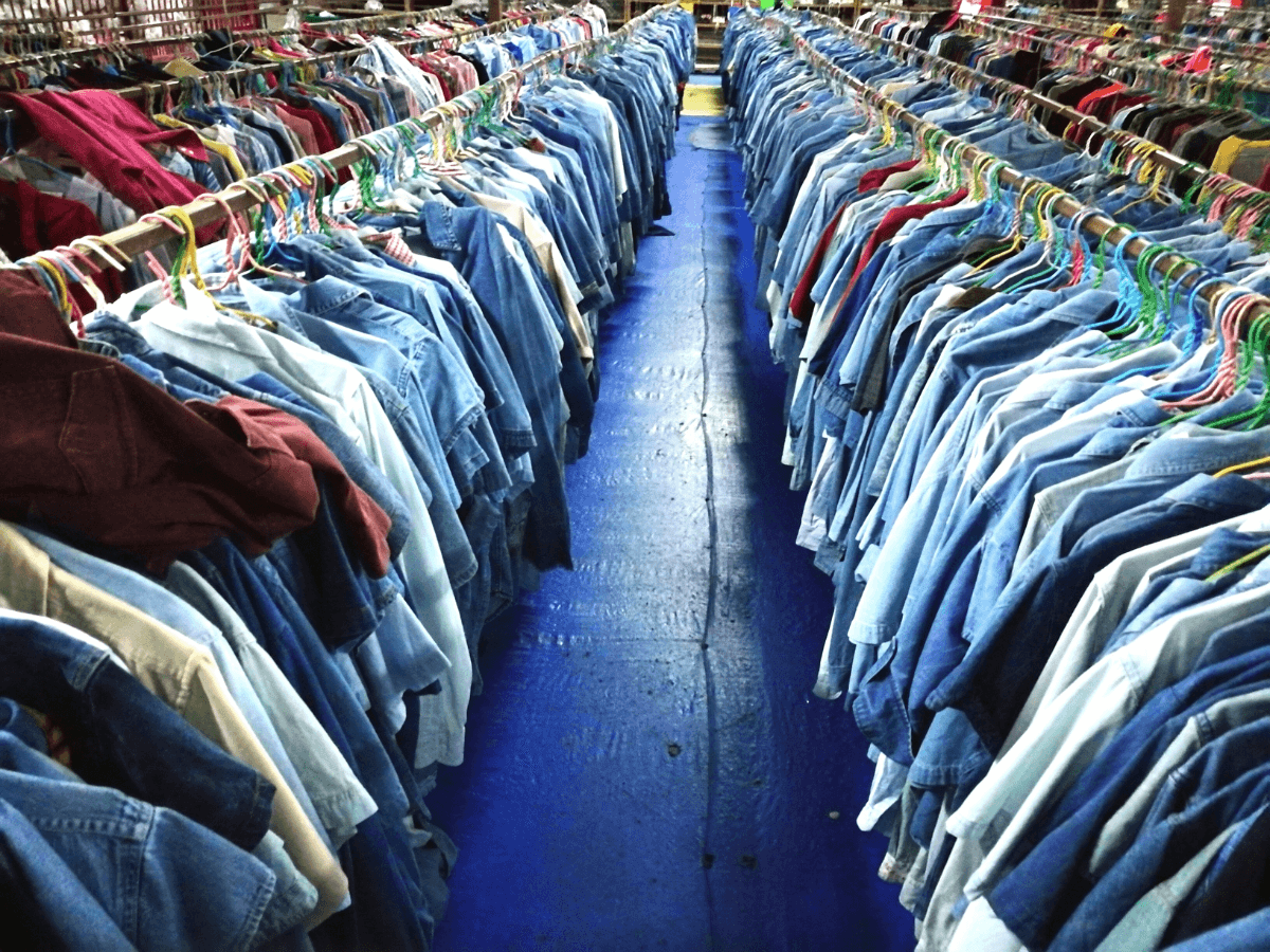 India's global apparel export share stuck at 3% despite China losing ground; FTAs, China+1 open opportunity: Report