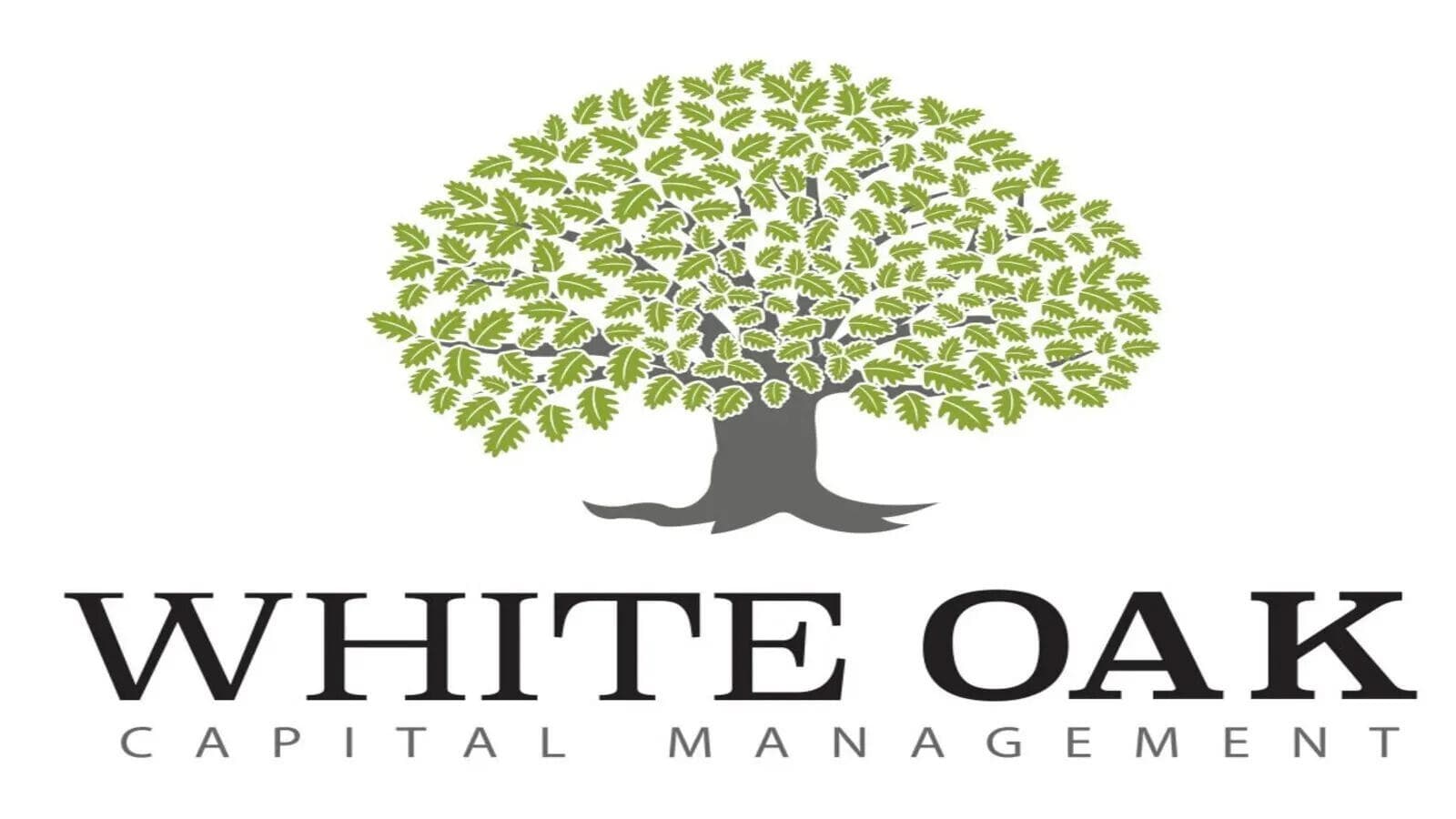 WhiteOak Capital plans D-Street foray with Rs 1,500 crore IPO