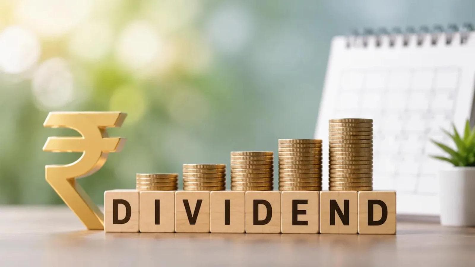 Bonus &amp; dividends: SAIL, IGL among 10 stocks turning ex-record date this week. Do you own any?
