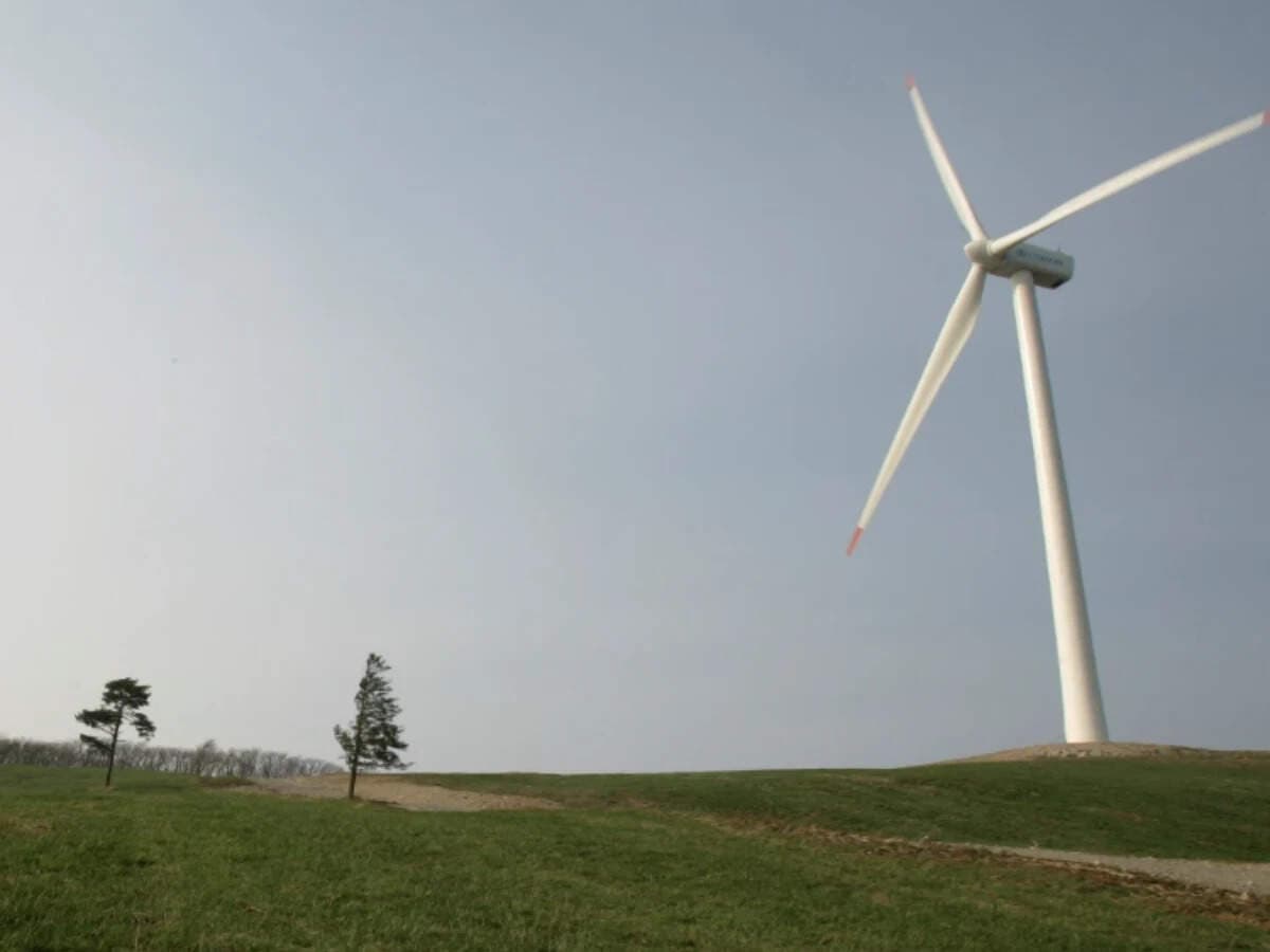 Suzlon investing Rs 550 crore to set up 3 AI-powered wind blade factories in Gujarat, Karnataka, Tamil Nadu