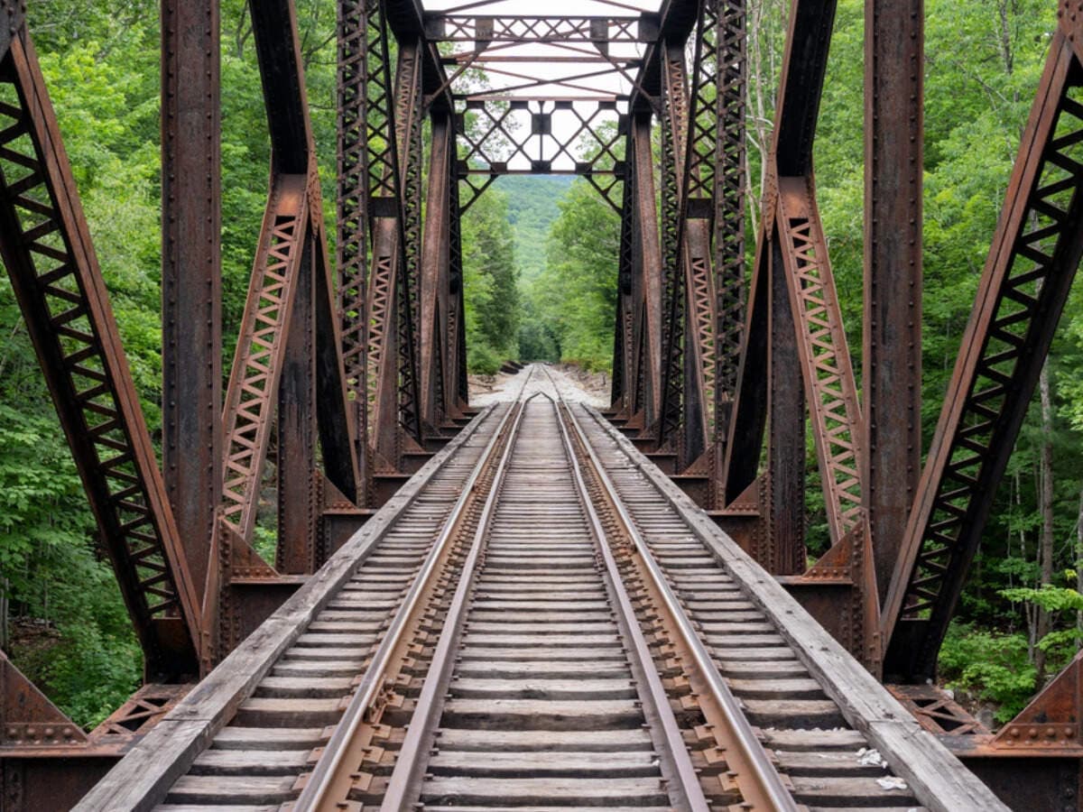 Kalyan, Shahad, Titwala to Asangaon commuters take note: Railways seeks forest clearance for a fourth railway line