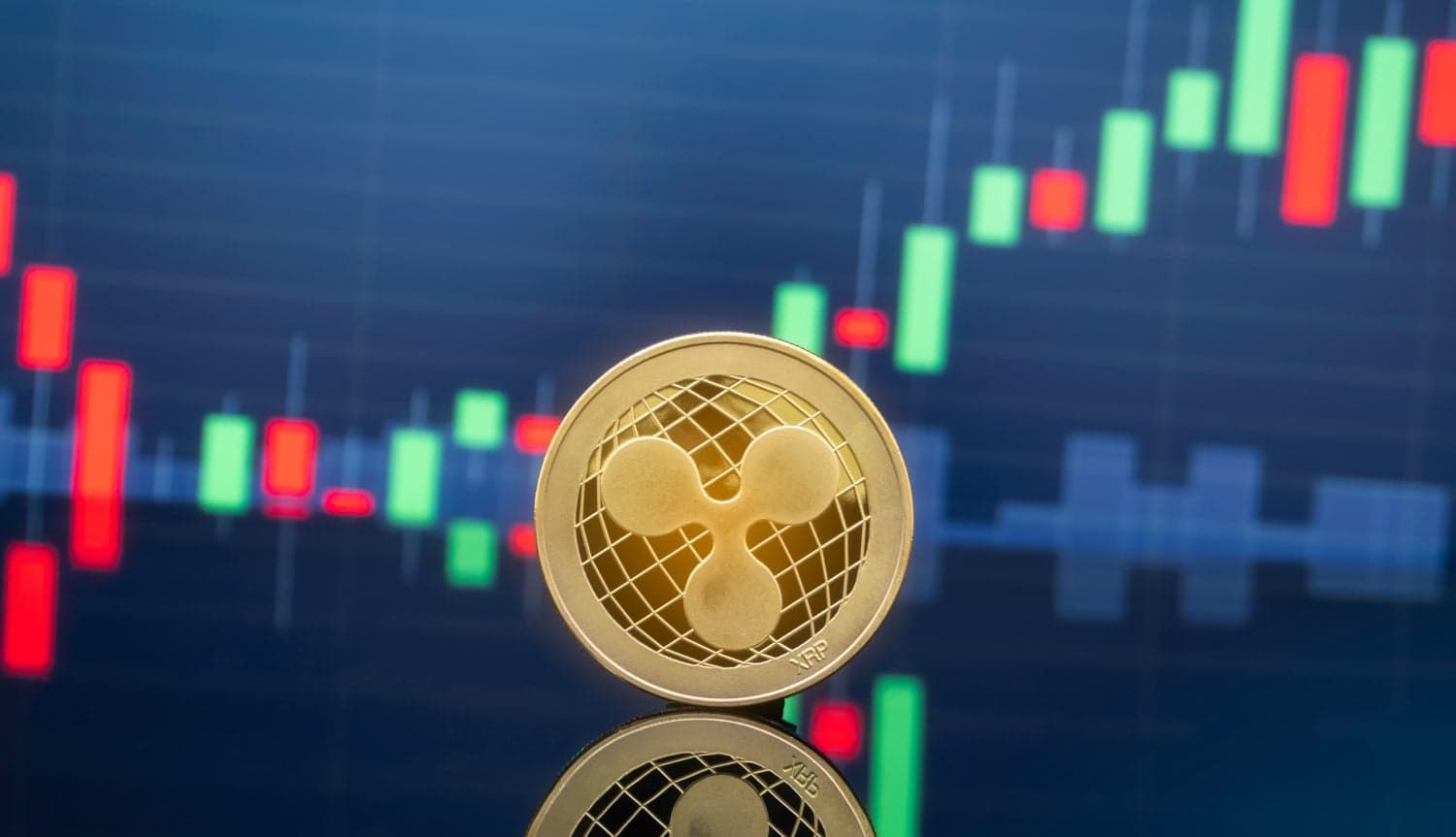 XRP Is Down 50% in a Year and Zcash Is Up 2,361%. Can Zcash Hold $1,000?