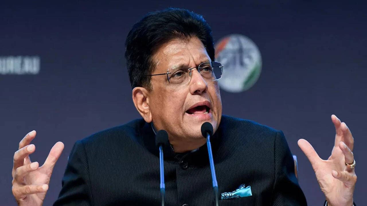 'Jobless people on TV': Goyal attacks oppn, ex-finance secy for remarks on GDP growth