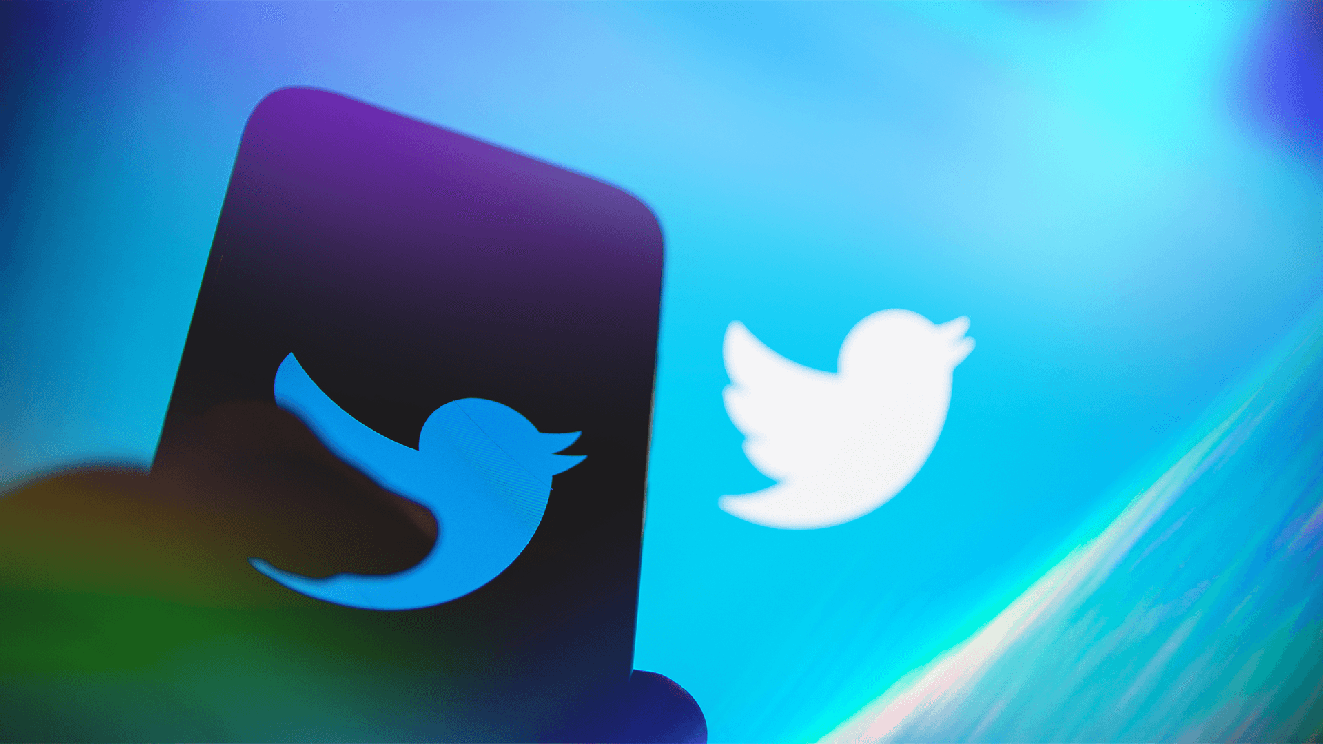 Judge Lets Musk Keep ‘Twitter’ for Now but Forces Him to Release the Bird
