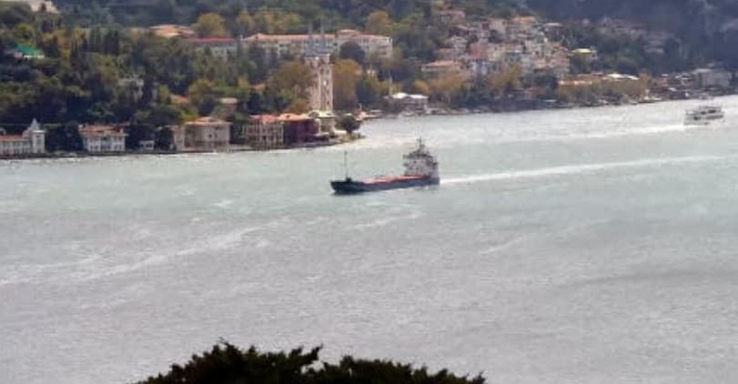 Syria calls for independent probe into sinking of ship in Black Sea