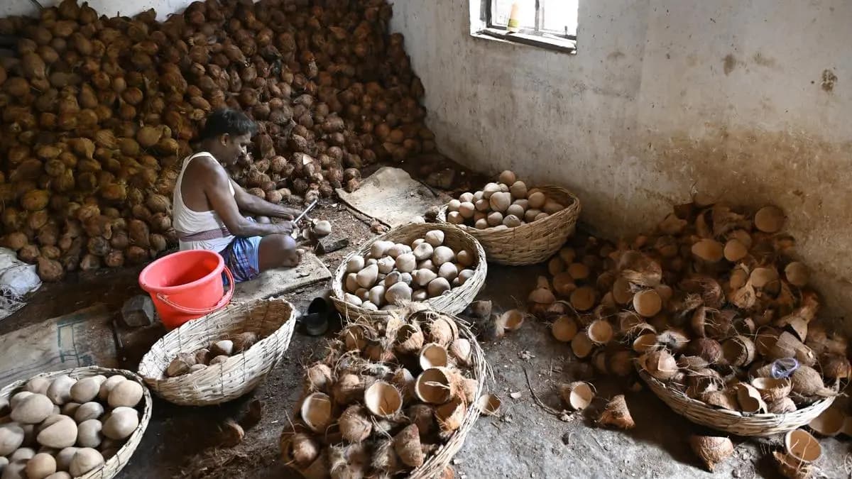 Coconut shell price surge threatens India’s activated carbon exports