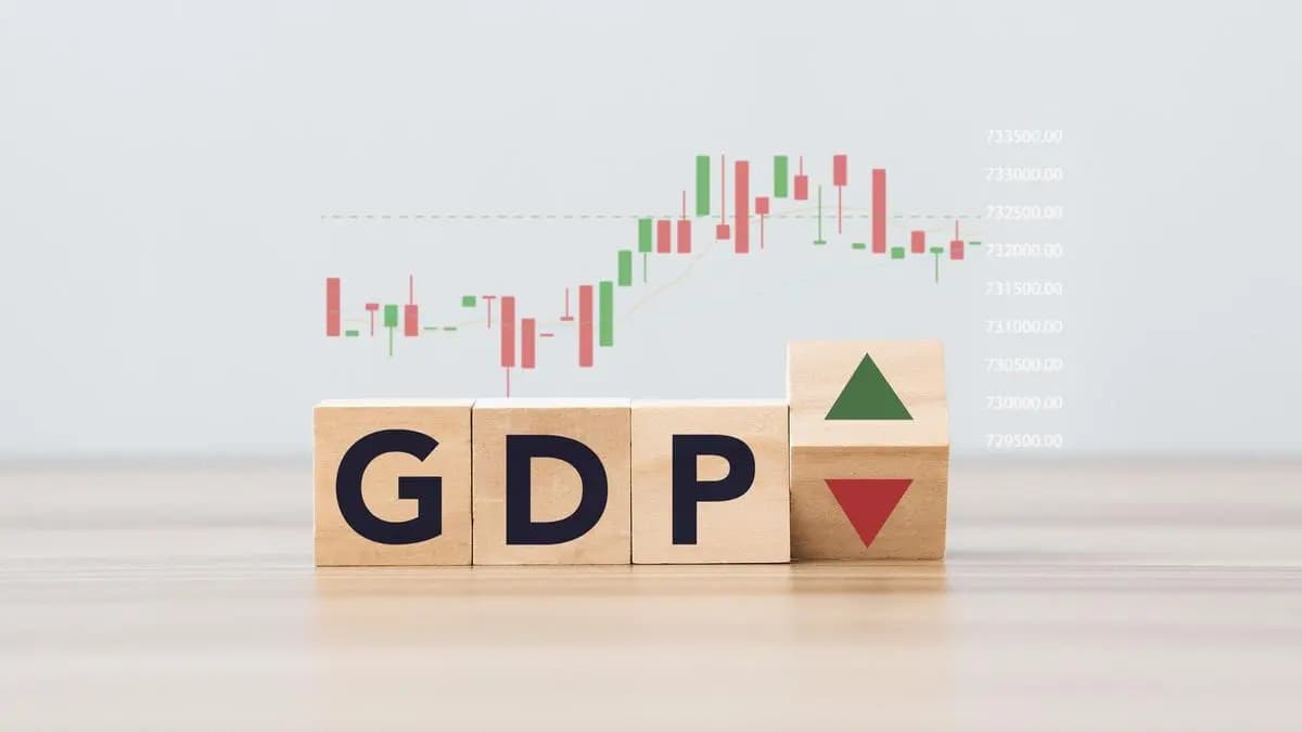 ‘Ill-educated, egregiously wrong’: World Bank ED Mishra on row over GDP data