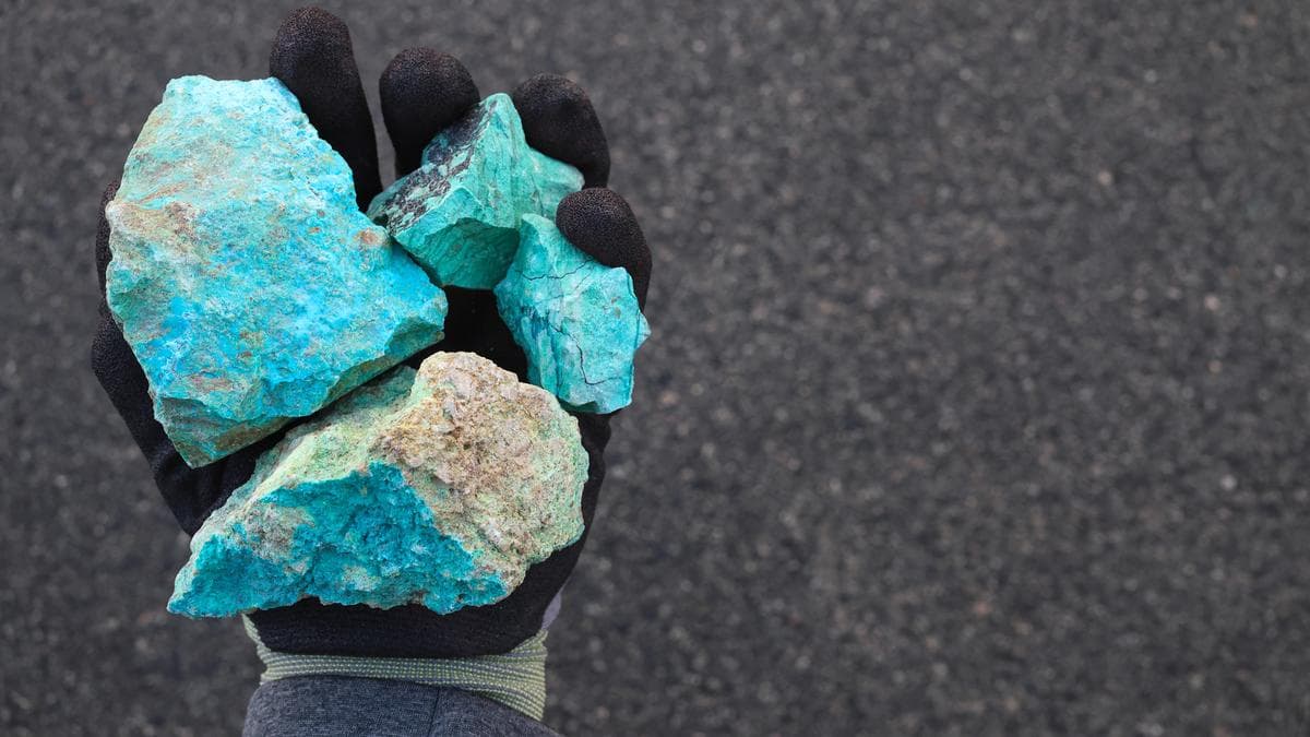 India revives talks with Zambia to invest in critical minerals