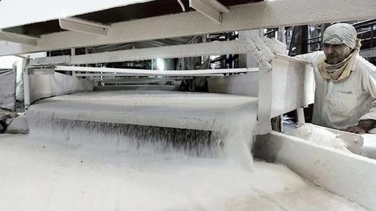 Retail sugar price drops 3.85% to ₹62.57/kg in a week: Govt data