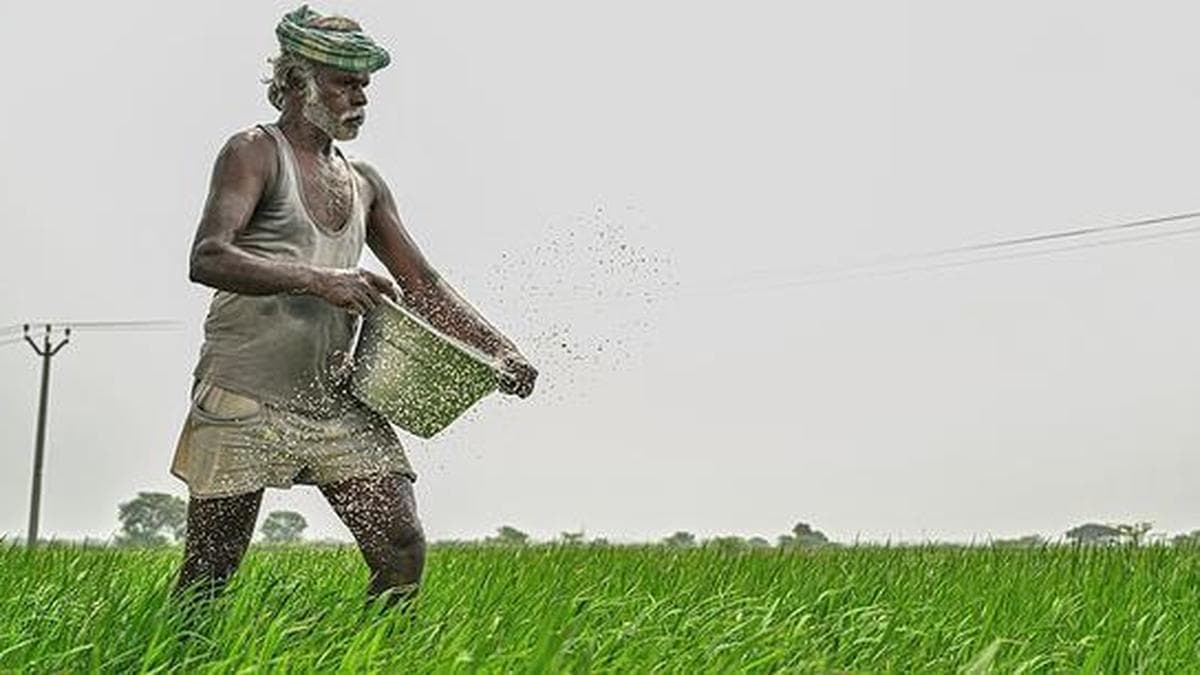 Kharif Harvest Outlook: Strong prices expected for most crops, except Bajra and Moong