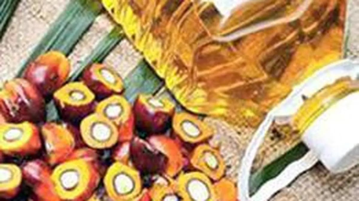 Global palm oil prices will likely surge on narrow production surplus