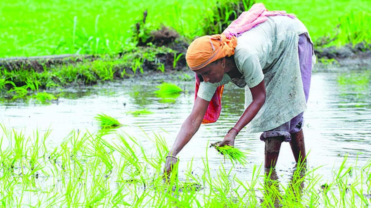 Billion-dollar baskets, half-capacity lives: The blind spot in Indian agricultural policies