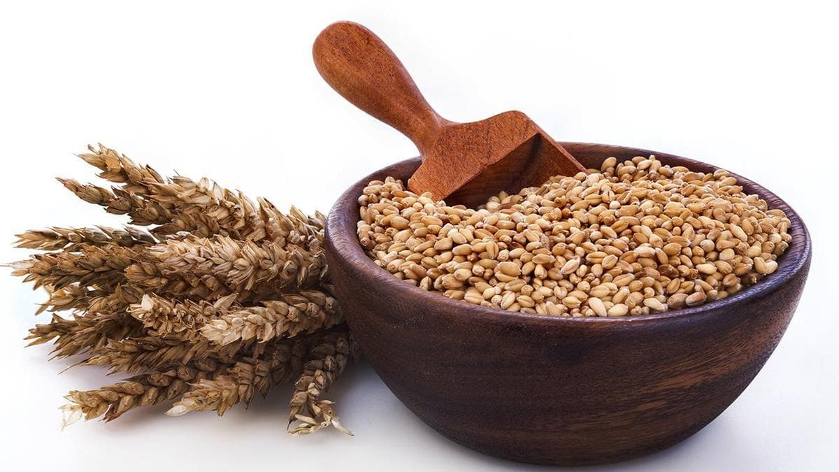 $1.5 b wheat export opportunity for India, says Assocham study