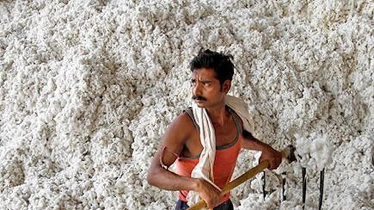 India cotton production forecast at 24.5 million bales in 2026/27: USDA
