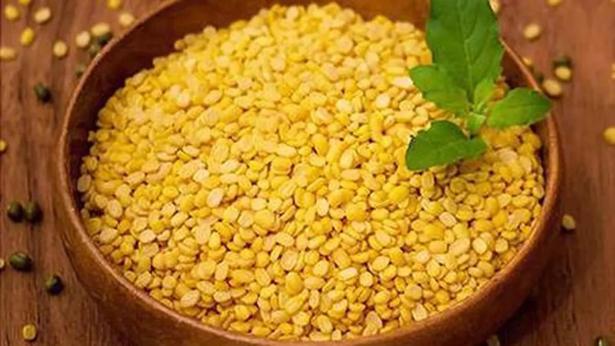Summer moong procurement in Madhya Pradesh touches a record 5.33 lakh tonnes this year