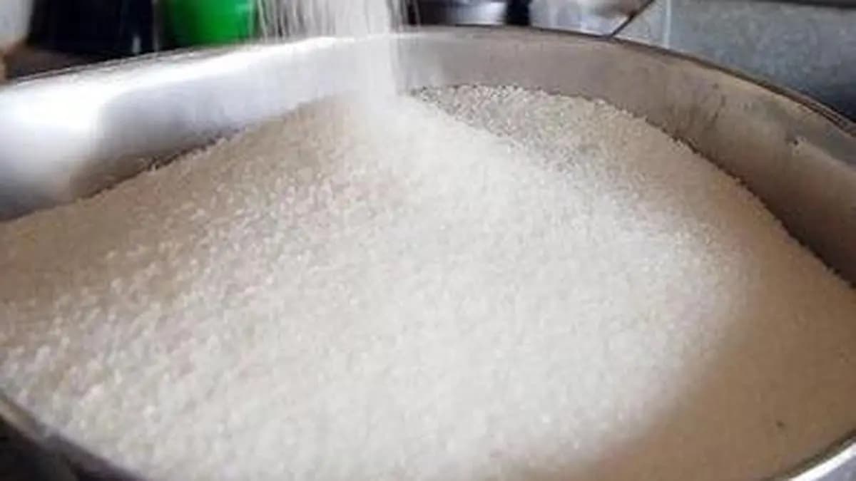 Sugar slides from 17-month high as Indian import prospects ease