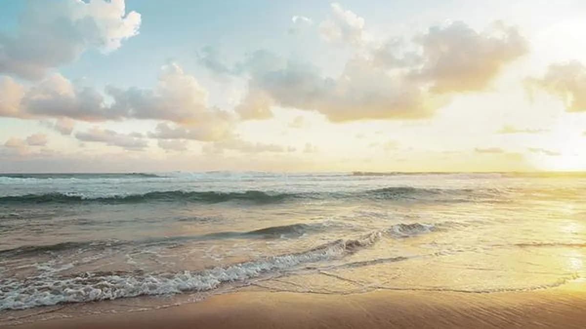 Odisha reviews proposed ‘ARISE’ project to strengthen coastal protection and climate resilience