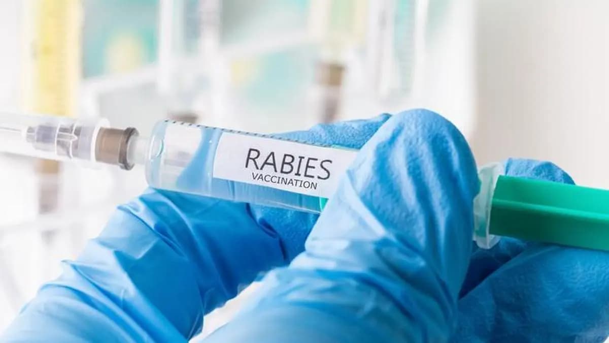IIL stands by rabies vaccine, as CDSCO flags ‘fake’ vials seized from unlicensed Delhi residence