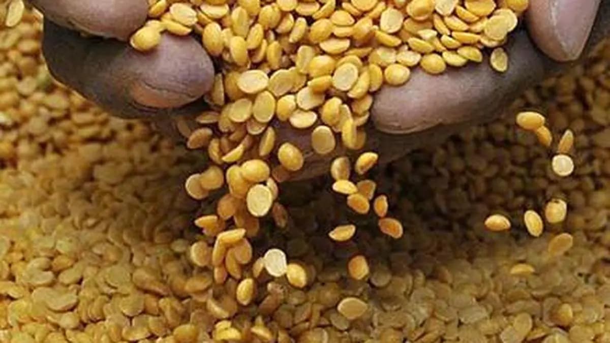 India’s area under pulses acreage tops last year’s level
