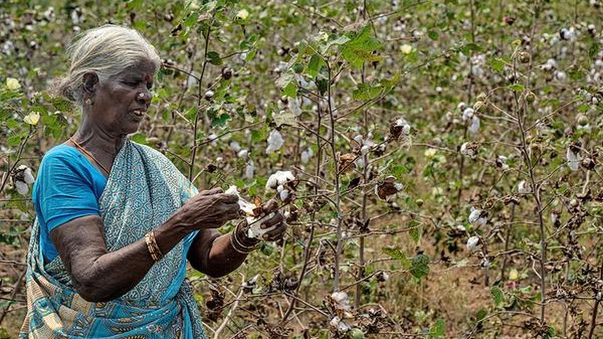 NCDEX ties up with CAI to design, promote cotton derivatives trading
