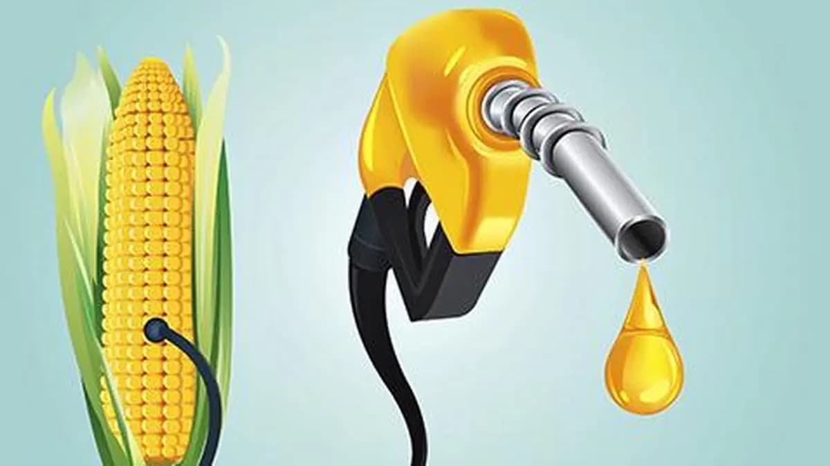 Supreme Court refuses to hear PIL for mandatory disclosure of ethanol content in petrol at fuel pumps