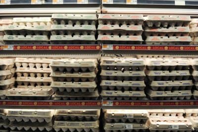 How does Salmonella contaminate everything under the sun? A food safety specialist explains how you can stop its spread