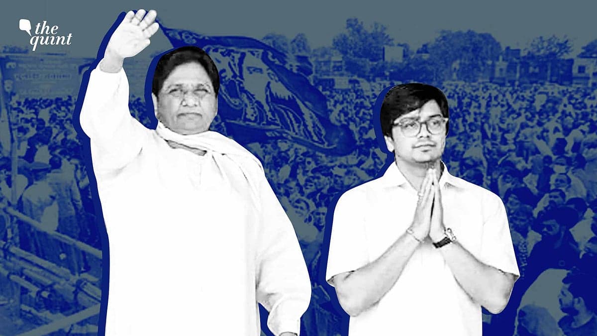 Mayawati Fires Nephew Akash Anand Again Despite Dalit Bahujan Leadership Vacuum
