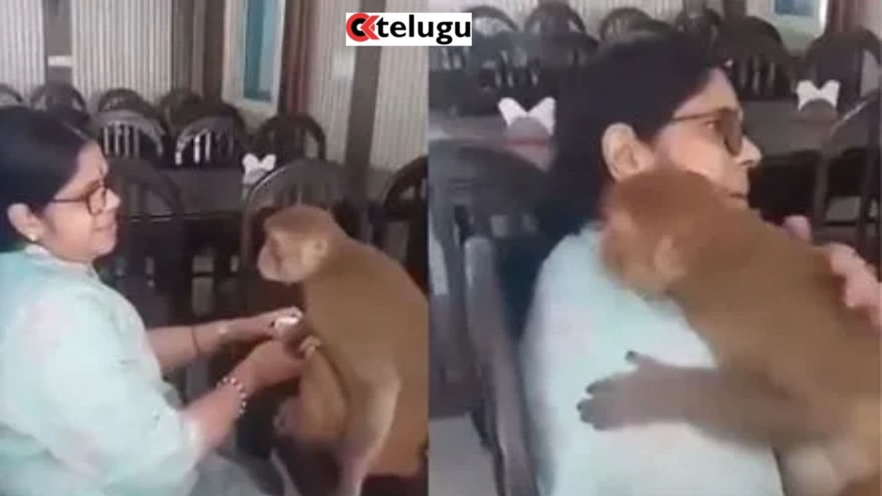 Monkey Devotion : ఆ హనుమంతుడే కోతి రూపంలో వచ్చాడా? బద్రీనాథ్లో సంచలనం రేపుతున్న వైరల్ వీడియో!