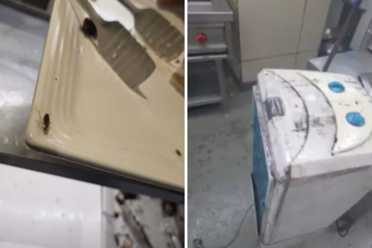 Cockroach On Dessert Plate? Barbeque Nation Customer Flags Hygiene Concerns In Virar