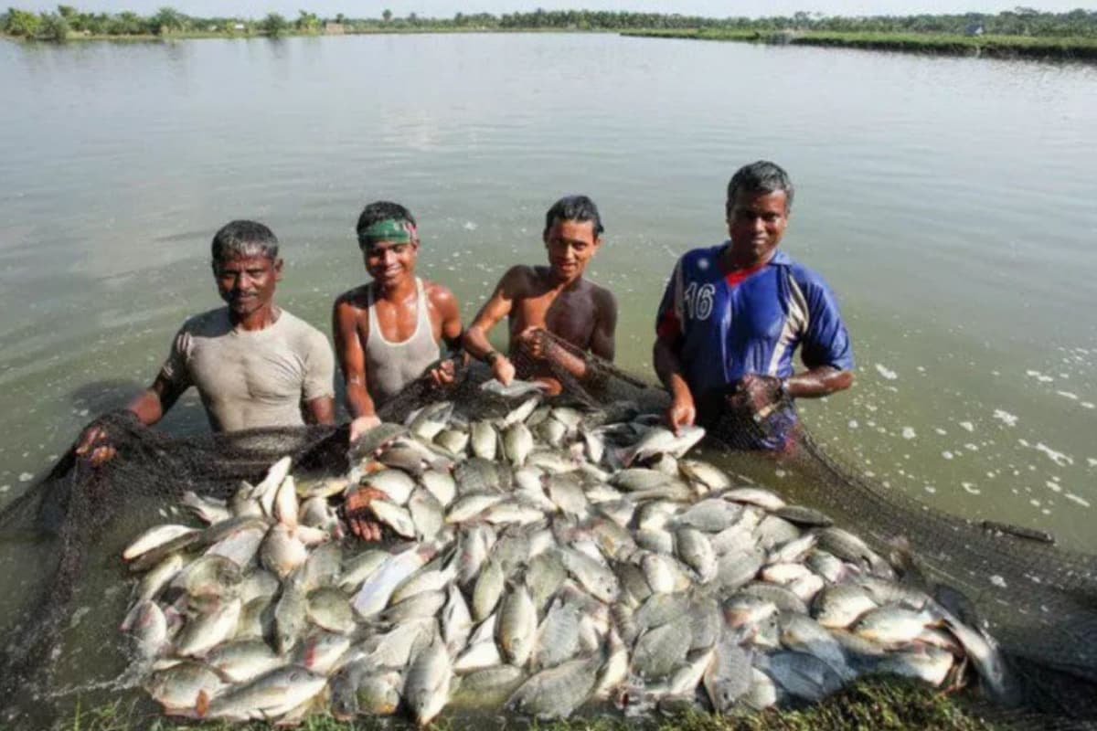 Nepal Floods Bring Mystery Fish To Bihar — Eating Them Could Make You Seriously Ill | Risks, Symptoms Inside