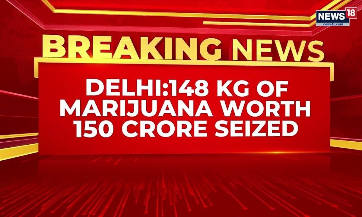 Major Drug Bust in New Delhi: 148 kg of Hydroponic Weed Seized