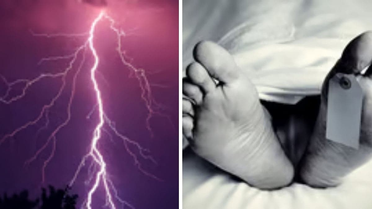 Jharkhand: Lightning Kills 2 Cattle Grazers In Latehar As IMD Issues Weather Alert