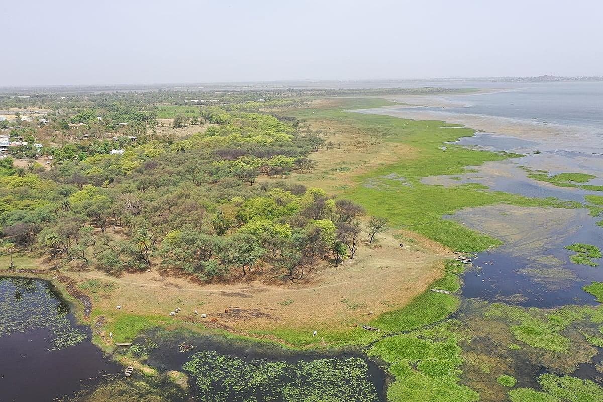 Bhopal Bhoj Wetland Survey Day 2: Team Wades Through Mud, Water Searching For Missing FTL Markers