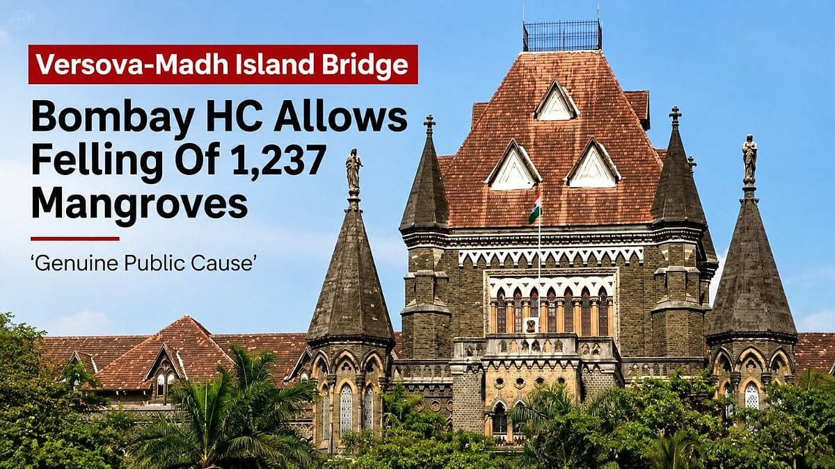 Versova-Madh Island Bridge A ‘Genuine Public Cause’: Bombay HC Allows Felling Of 1,237 Mangroves