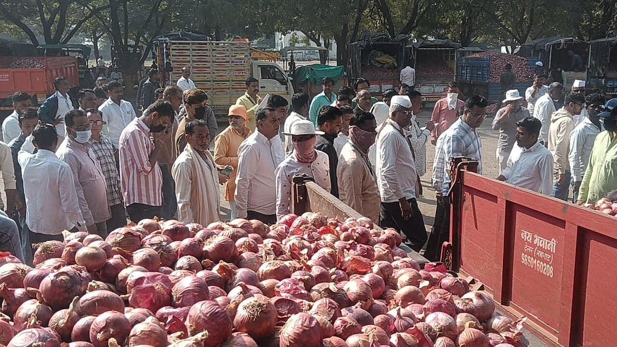 Nashik: Egyptian Onions, Fresh Kharif Arrivals Put Pressure On Onion Prices
