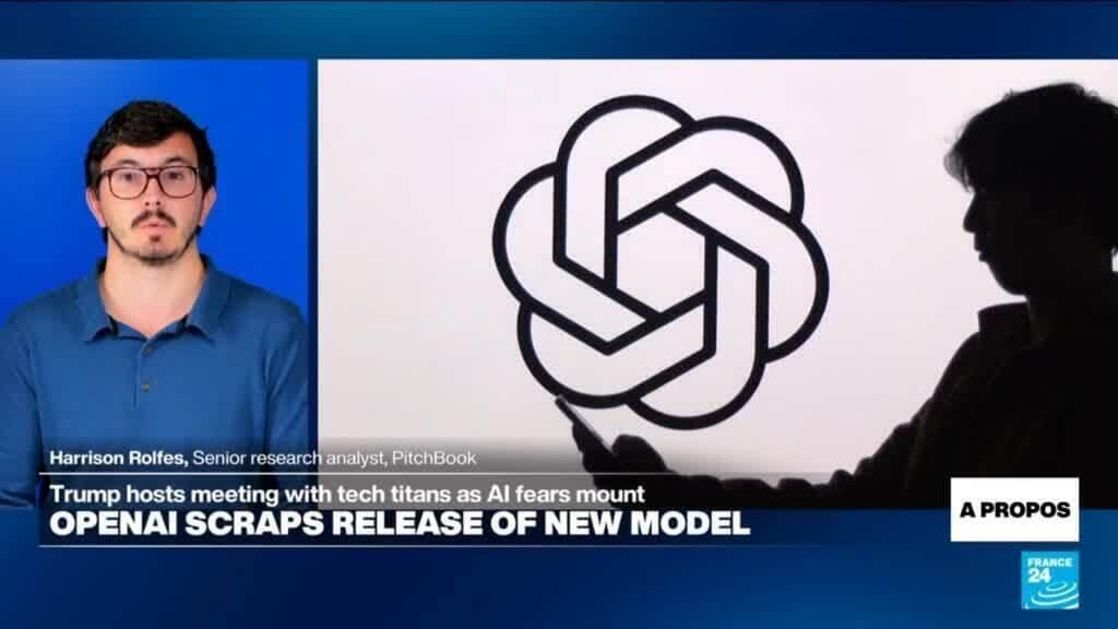 Safeguards 'build a moat' around US AI firms, prevent open-source models from advancing, expert says