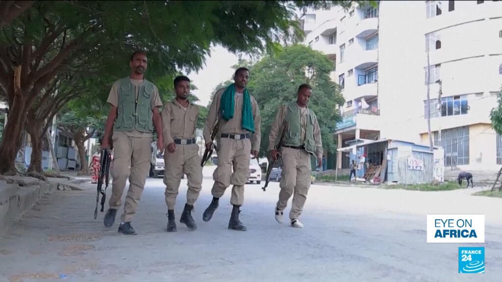 Tigray rebels in 'full-blown' war with government