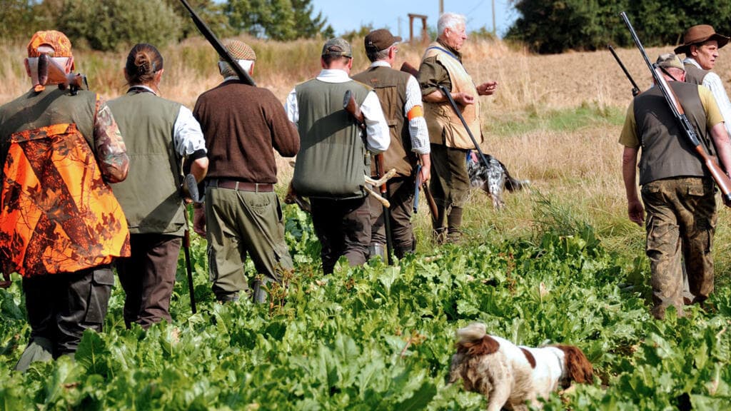 French Billionaire Faces Prison Over Protected Bird Killings