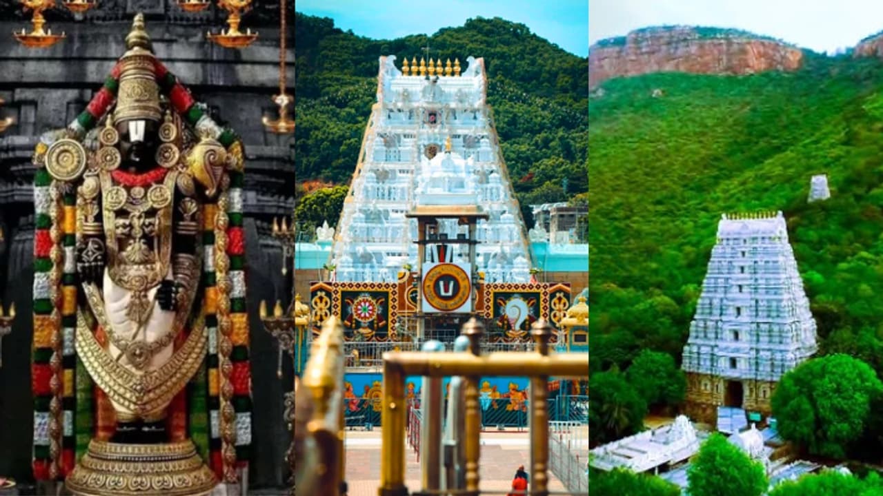 Tirumala Free Bus: ತಿರುಪತಿ ಭಕ್ತರಿಗೆ ಗುಡ್ ನ್ಯೂಸ್, ಬೆಟ್ಟದ ಮೇಲೆ ಇನ್ಮುಂದೆ ಉಚಿತ ಪ್ರಯಾಣ!
