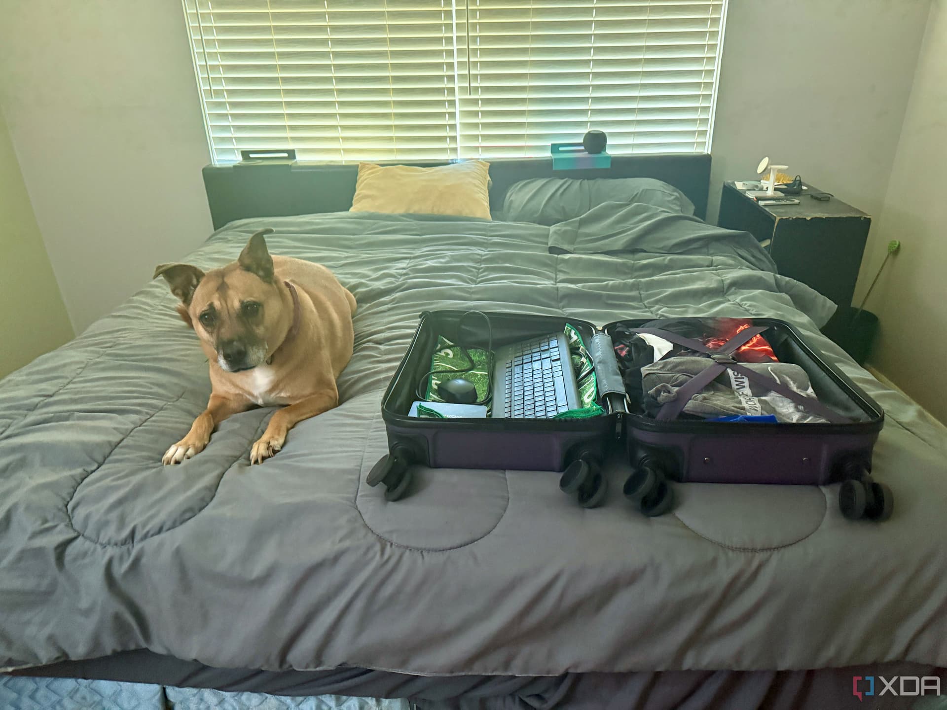 I put a mini PC in my carry-on, and hotel TVs stopped being useless