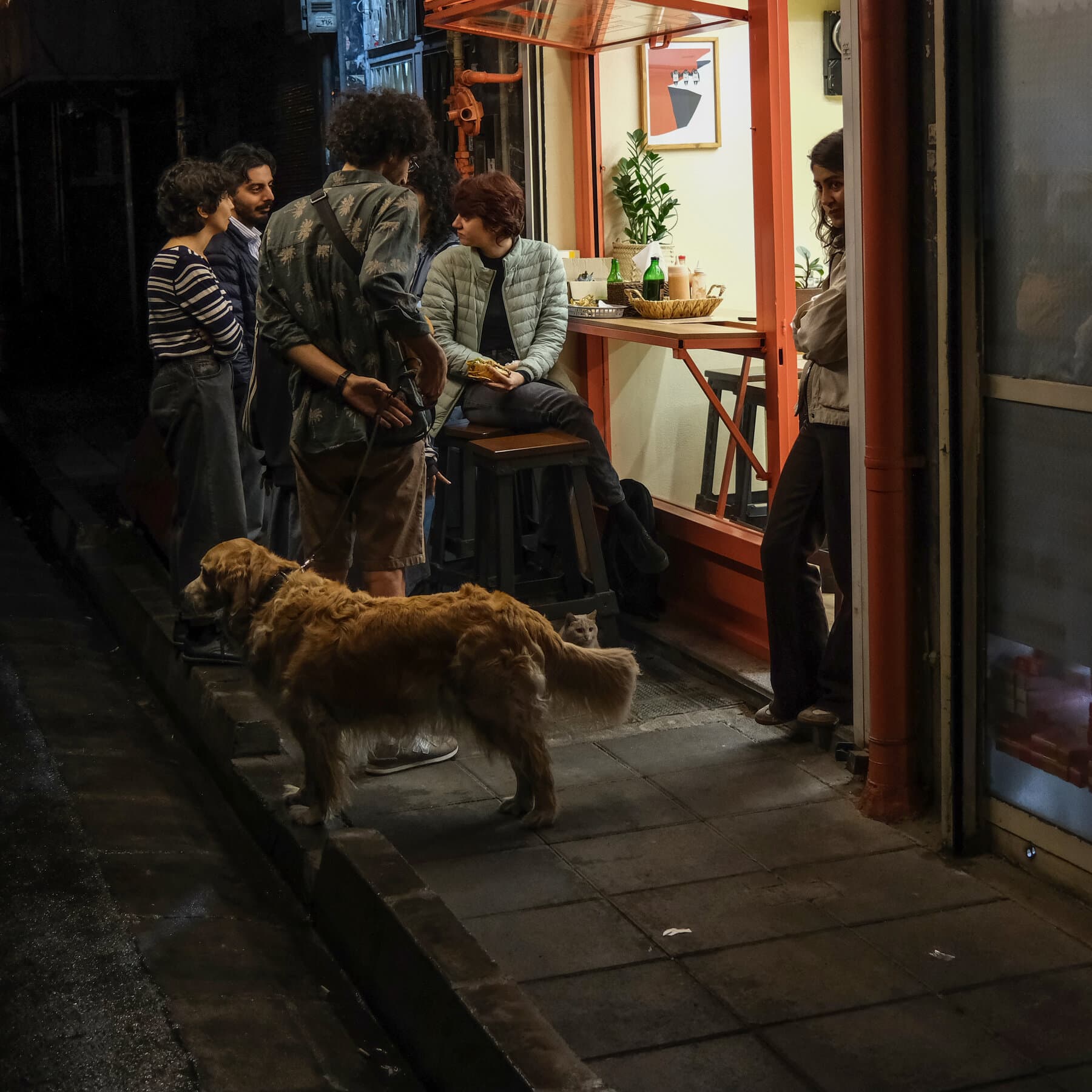 Iran Cracks Down on One Luxury Left to Its Youth: Coffee Shops