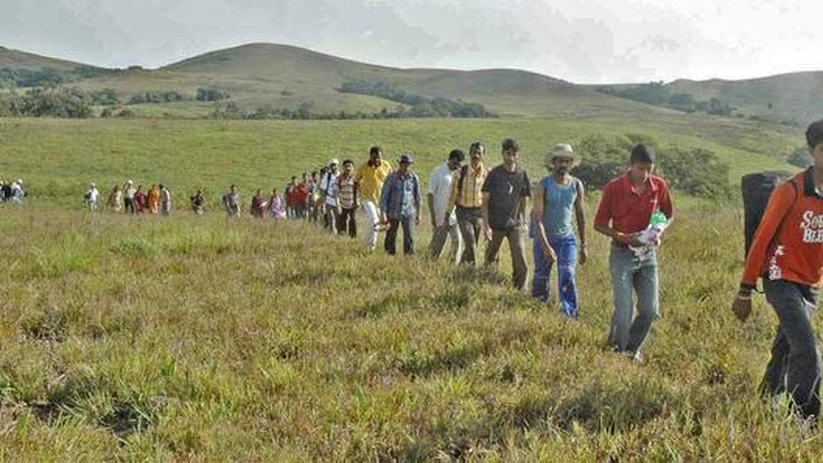 Kodagu: Unauthorised trekking, drone flights banned in Nelji-Peruru