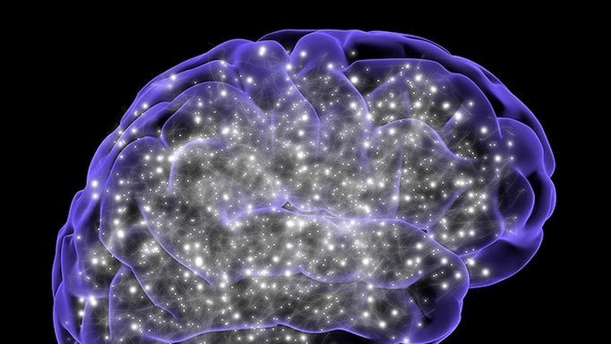 Environmental lead exposure linked to greater neuronal damage: ICMR-NIN