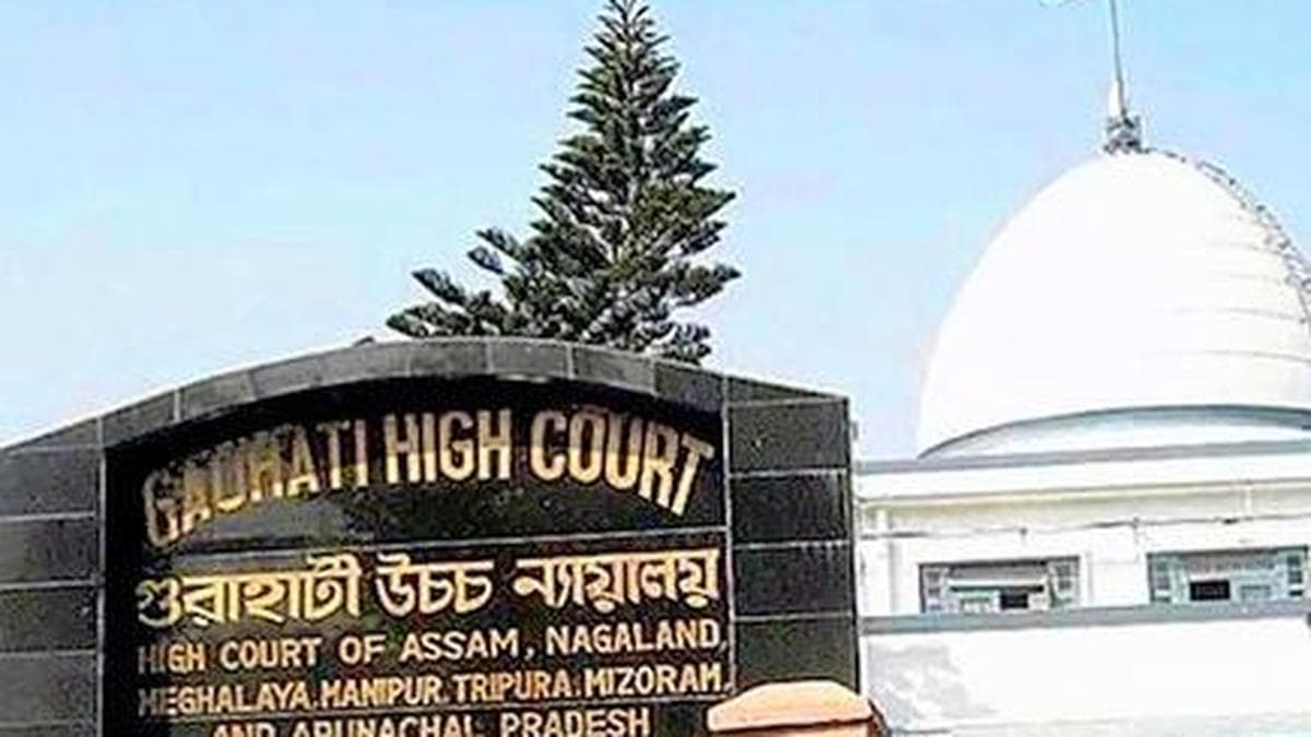 SC panel asked to consider rehabilitation of nine Assam elephants held in Tamil Nadu